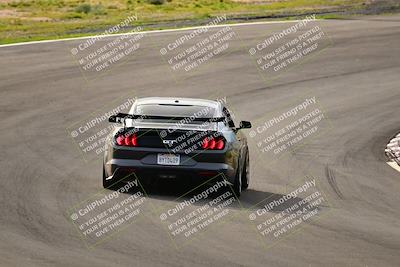 media/Feb-25-2024-Speed Ventures (Sun) [[b9a2a97a4d]]/Mustang Drivers Club/Session 1 (Turns 4 and 5)/